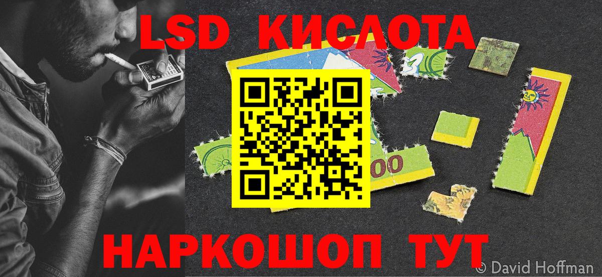 Галлюциногенные грибы Волжск
