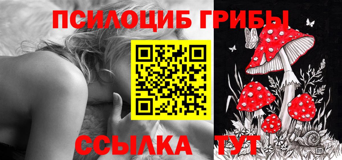 Галлюциногенные грибы мицелий  Волжск 