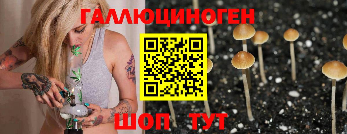 Галлюциногенные грибы Magic Shrooms Волжск
